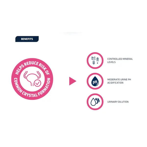 Advance Dog VET Diets Urinary - Ветеринарна диета за кучета с бъбречни проблеми - 3 кг