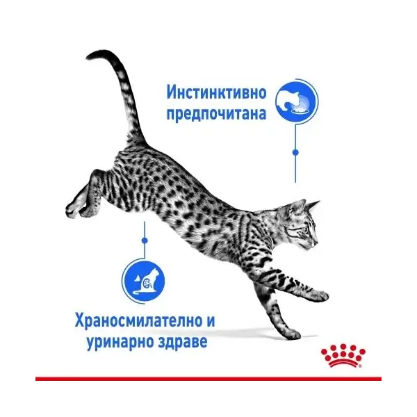 Royal Canin Indoor Sterilised Jelly - Пълноценна мокра храна за кастрирани котки, живеещи на закрито - парченца в желе в пауч 12х85 г