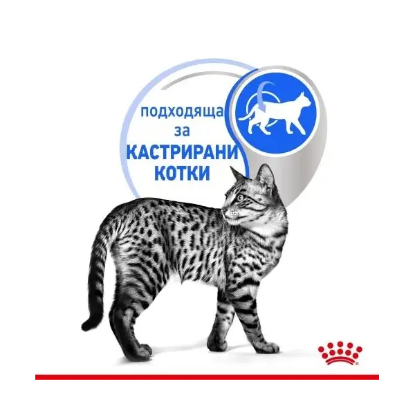 Royal Canin Indoor Sterilised Jelly - Пълноценна мокра храна за кастрирани котки, живеещи на закрито - парченца в желе в пауч 12х85 г
