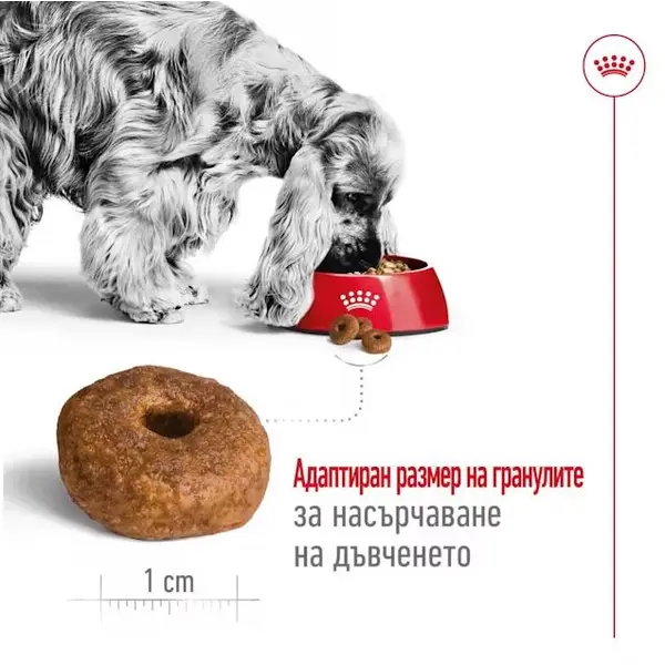 Roayl Canin Medium Ageing 10+ - Пълноценна храна за кучета в напреднала възраст от средни породи над 10 години - 15 кг
