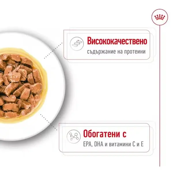 Royal Canin Medium Ageing Pouch - Пълноценна мокра храна за кучета в напреднала възраст от средни породи над 10 години - 10 х 140 гр