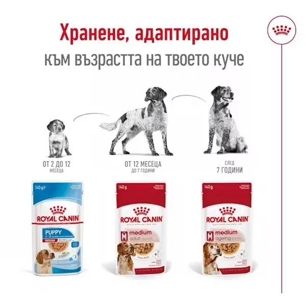 Royal Canin Medium Ageing Pouch - Пълноценна мокра храна за кучета в напреднала възраст от средни породи над 10 години - 10 х 140 гр