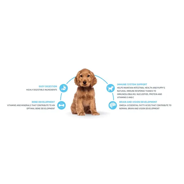 Advance Dog Medium Puppy - суха храна за подрастващи кученца от средни породи с пилешко и ориз - 12 кг