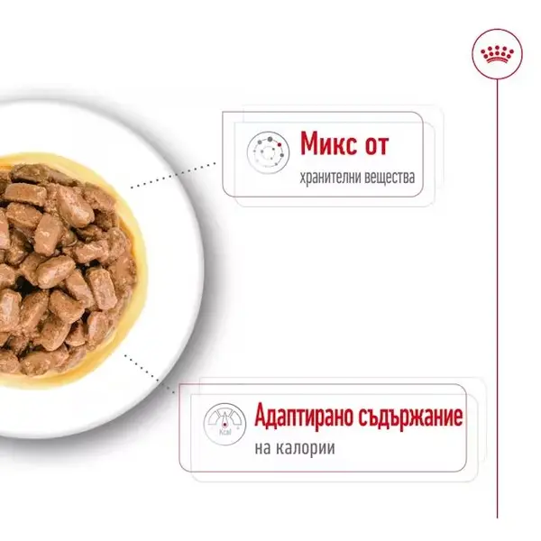 Royal Canin Mini Ageing Pouch - Пълноценна мокра храна в пауч за кучета в напреднала възраст от дребни породи над 12 години - кутия 12 бр x 85 г