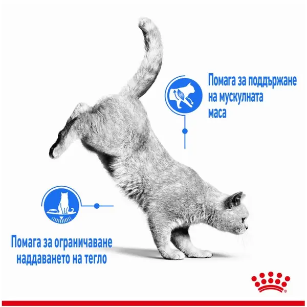 Royal Canin Light Weight Care - Пълноценна мокра храна за котки, склонни към напълняване - парченца в сос в пауч 12х85 г