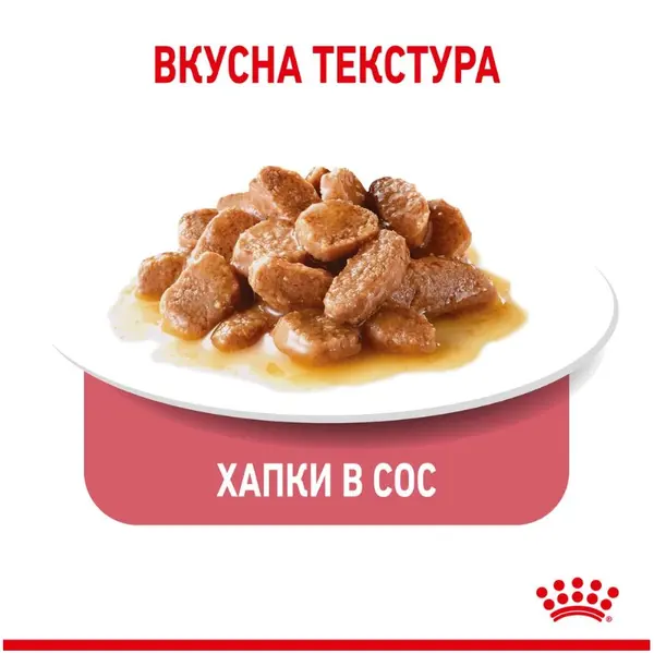 Royal Canin Light Weight Care - Пълноценна мокра храна за котки, склонни към напълняване - парченца в сос в пауч 12х85 г