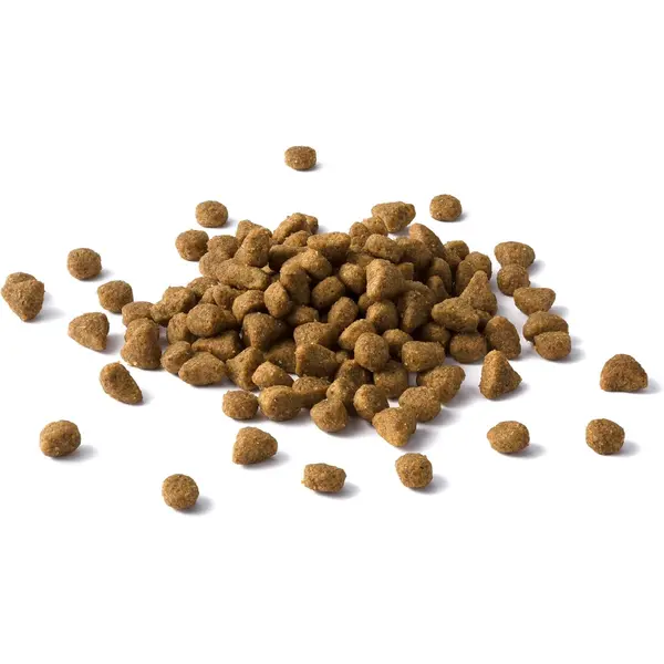 Cat Chow Adult - Пълноценна суха храна за котки с риба тон и сьомга - 15 кг