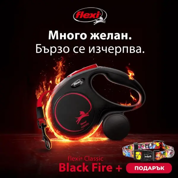 flexi Classic Black Fire M Tapе - Автоматичен повод - лента 5м, до 25кг, черно + ПОДАРЪК  нашийник с ЧЕРНА тока 20мм/40-55см