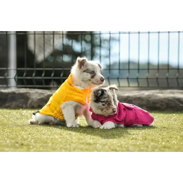 Freedog Paw Shield Raincoat PINK - Непромокаемо яке за кучета, розово
