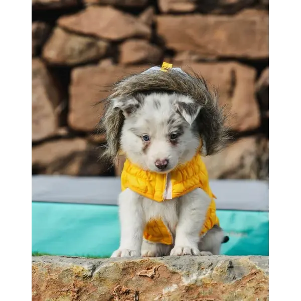 Freedog Pooch Coat YELLOW - Непромокаемо яке с качулка, жълто