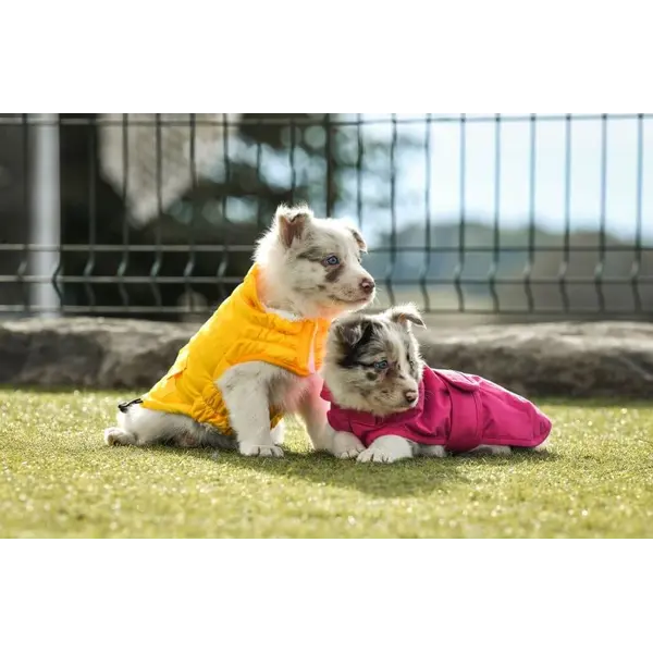 Freedog Pooch Coat YELLOW - Непромокаемо яке с качулка, жълто