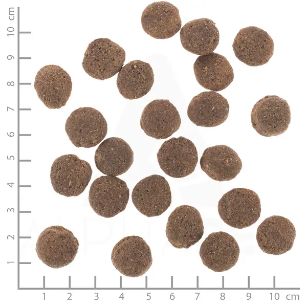 Wolfsblut VetLine Hypoallergenic - хипоалергенна моно-протеинова суха храна за кучета с конско месо, при хранителни алергии и непоносимости, 2 кг