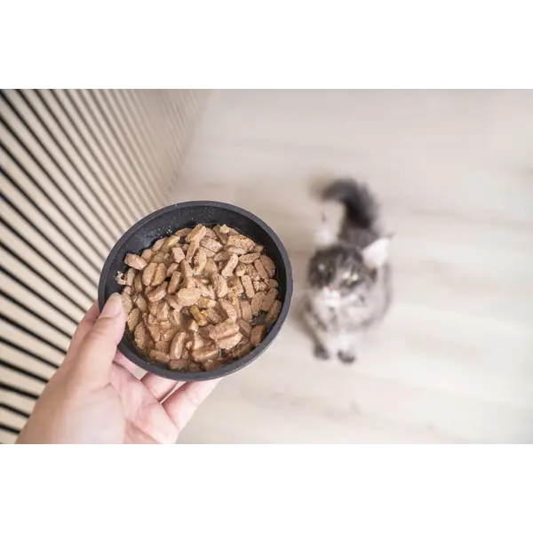 Virbac Cat Digestive Support Pouch - Диетична мокра храна за котки с храносмилателни нарушения, мус в пауч 12х85 г