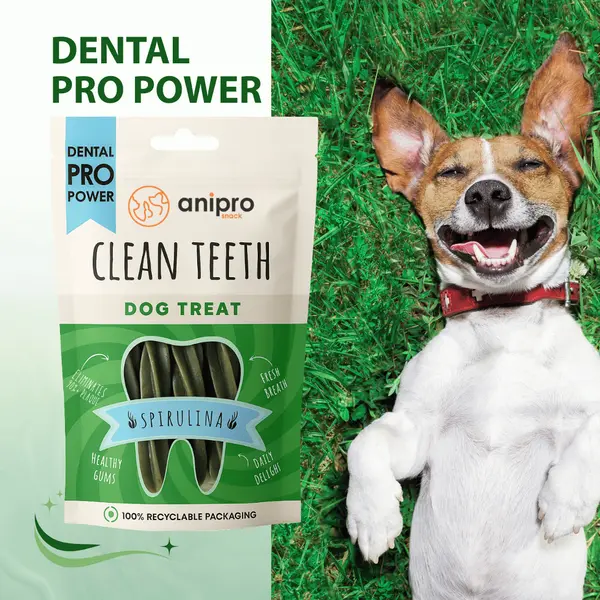 anipro Dental Pro Power * фузили със спирулина, 84 г, зелен чай