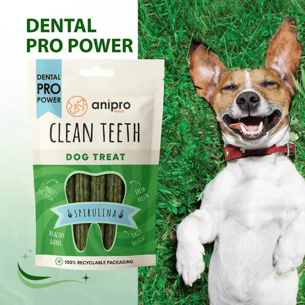anipro Dental Pro Power - пурички със спирулина, 84 г, зелен чай