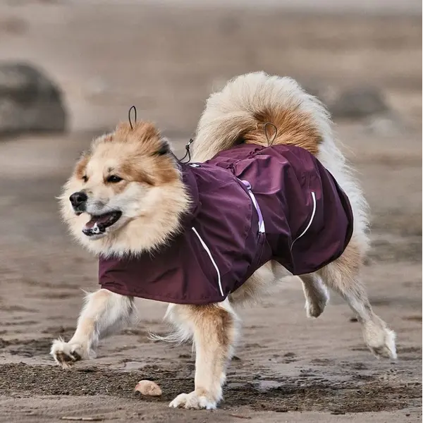 Hurtta Mudventure Dog Coat ECO Eggplant – непромокаемо яке за куче цвят патладжан