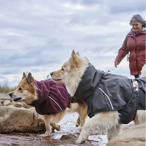 Hurtta Mudventure Dog Coat ECO Eggplant – непромокаемо яке за куче цвят патладжан