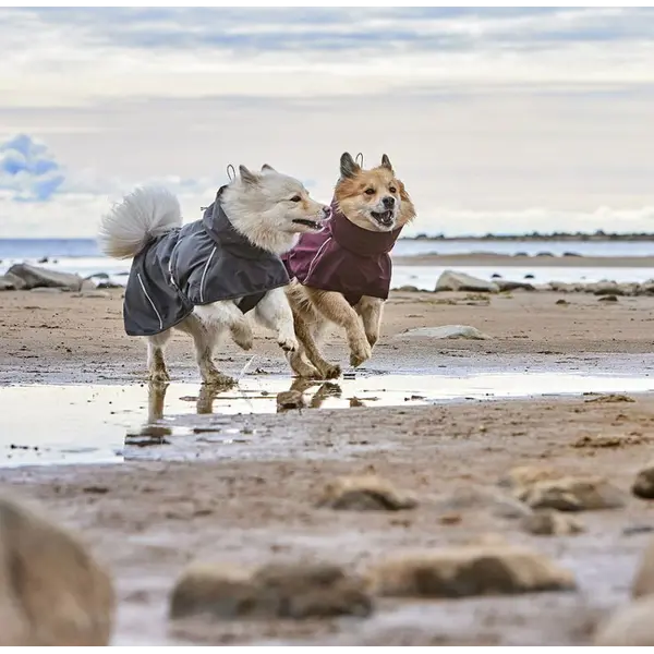 Hurtta Mudventure Dog Coat ECO Eggplant – непромокаемо яке за куче цвят патладжан