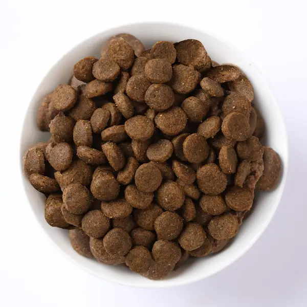 N&D Quinoa Skin & Coat with Herring, Adult MEDIUM & MAXI dog – суха храна без зърнени култури за здрава кожа и козина, за средни и едри породи с херинга - 7 кг