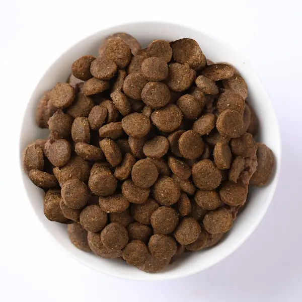 N&D Quinoa Skin & Coat with Quail for adult MEDIUM & MAXI dog – суха храна без зърнени култури, за здрава кожа и козина за средни и едри породи, с пъдпъдък - 7 кг