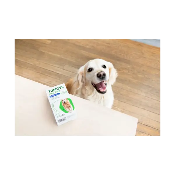 Lintbells YuMOVE Joint Care for Adult Dogs – овкусени таблетки за стави с екстракт от зеленоуста мида, за кучета - 300 таб. + 60 таб. ПОДАРЪК