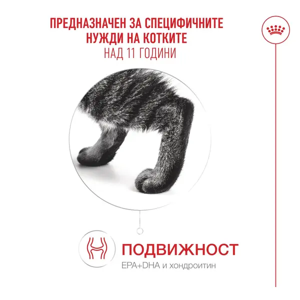 Royal Canin Ageing 11+ - Пълноценна мокра храна за котки над 11 години, хапки в сос - пауч 12х85г
