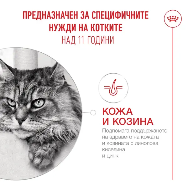 Royal Canin Ageing 11+ - Пълноценна мокра храна за котки над 11 години, хапки в сос - пауч 12х85г
