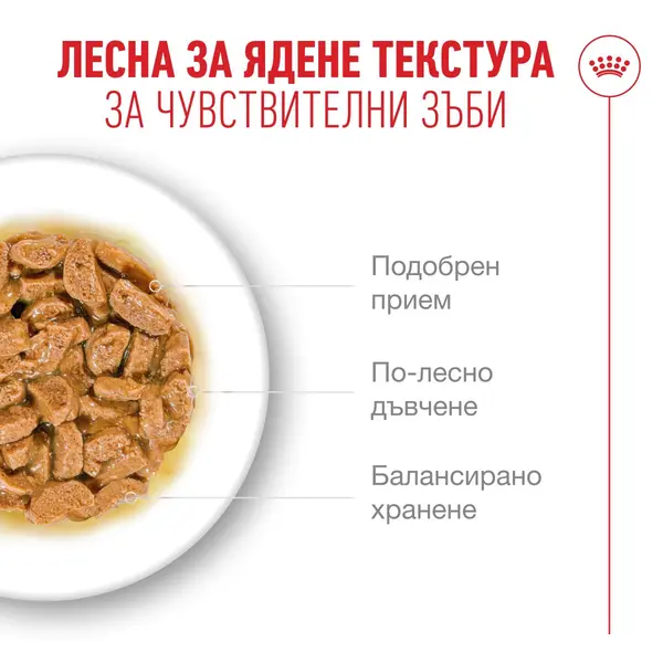 Royal Canin Ageing 11+ - Пълноценна мокра храна за котки над 11 години, хапки в сос - пауч 12х85г