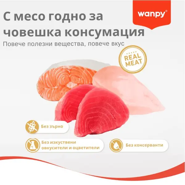 Wanpy Stew Chicken in gravy - пауч за котки, ароматно стю с пилешко месо в сос, 70 г