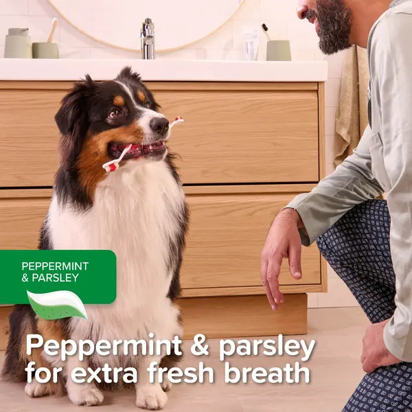 Beaphar Peppermint & Parsley Flavour Toothpaste with Enzymes - Паста за зъби за кучета и котки с вкус на мента и магданоз, 100 г