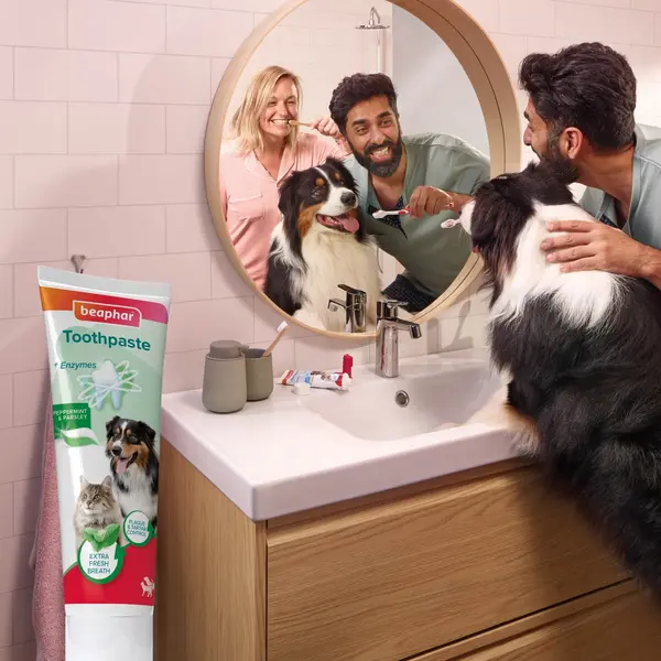 Beaphar Peppermint & Parsley Flavour Toothpaste with Enzymes - Паста за зъби за кучета и котки с вкус на мента и магданоз, 100 г