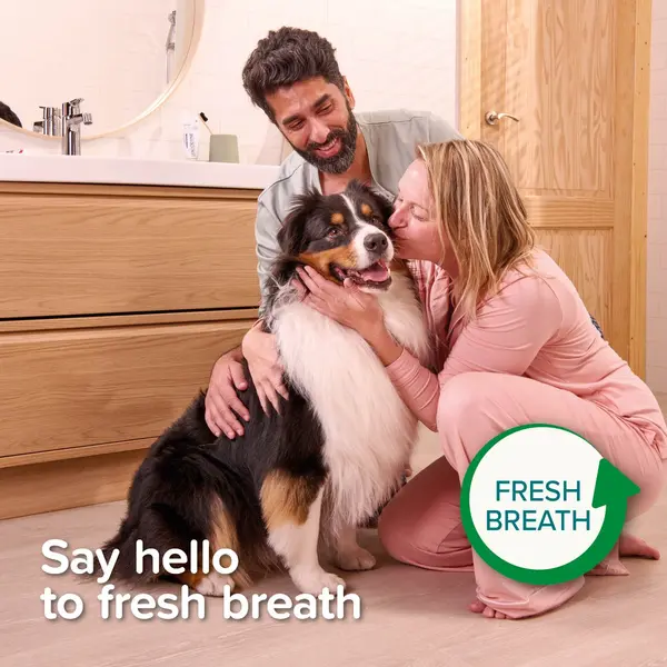 Beaphar Doubled-Ended Bamboo Toothbrush - Бамбукова четка за зъби с две глави, за кучета и котки