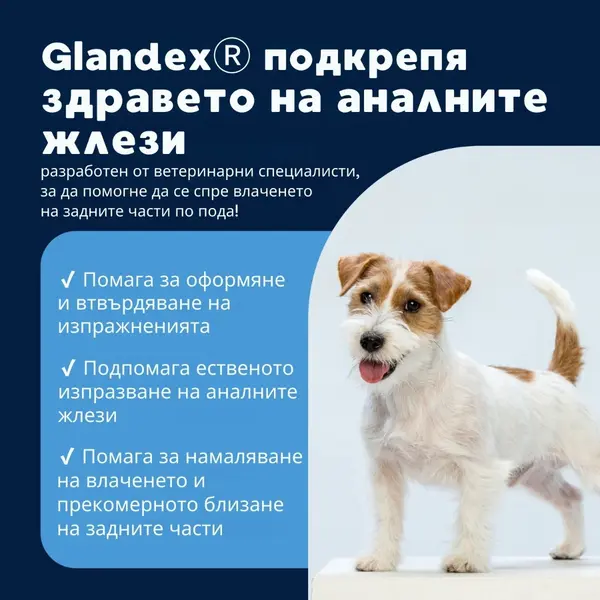Glandex Dog – дъвчащи таблетки за анални жлези с пробиотици, за кучета - 60 дъвчащи таблетки