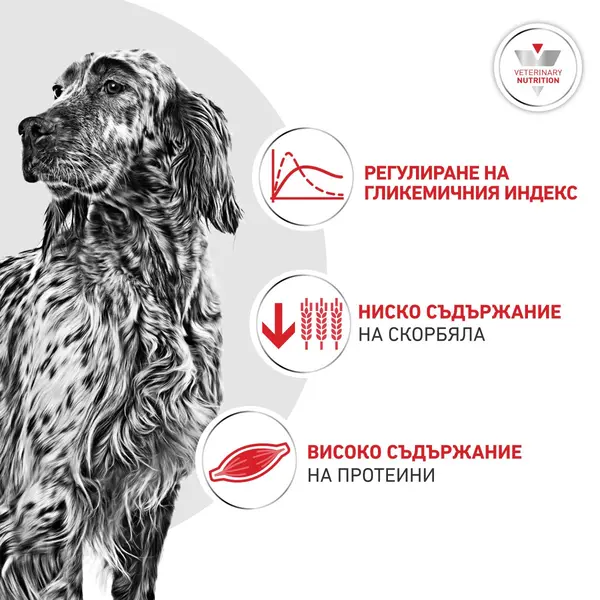 Royal Canin VHN Glycobalance -  Пълноценна диетична храна за кучета за pегулиране нивата на кръвна захар (диабет) -  1,5 кг
