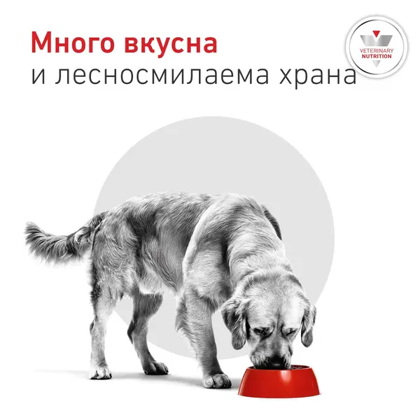 Royal Canin VHN Glycobalance -  Пълноценна диетична храна за кучета за pегулиране нивата на кръвна захар (диабет) -  1,5 кг