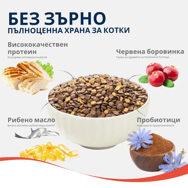 Wanpy Cat Grain Free Salmon - суха храна за котки със сьомга, без зърно, 8 кг