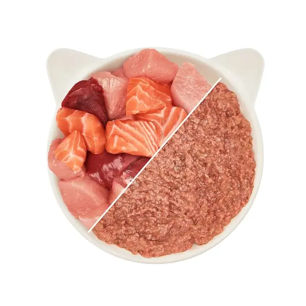 WOW Cat Adult Paté Chicken & Salmon - Пастет за котки с пиле и сьомга - консерва 200 г