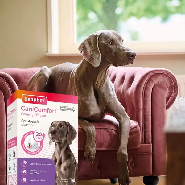 Beaphar Cani Comfort Calming Diffuser - успокояващ дифузер с пълнител с феромони 48 мл