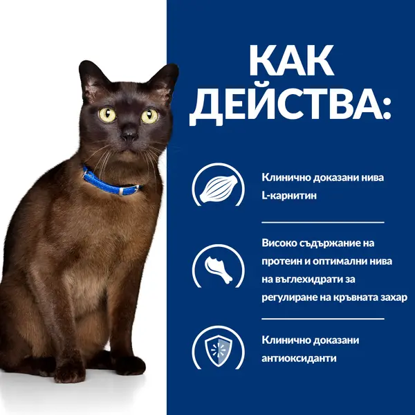 Hill's PRESCRIPTION DIET m/d Diabetes Care - лечебна суха храна за котки с диабет, за отслабване и за регулиране на кръвната захар - 1,5 кг.