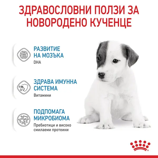 Royal Canin Babydog Milk 400 g