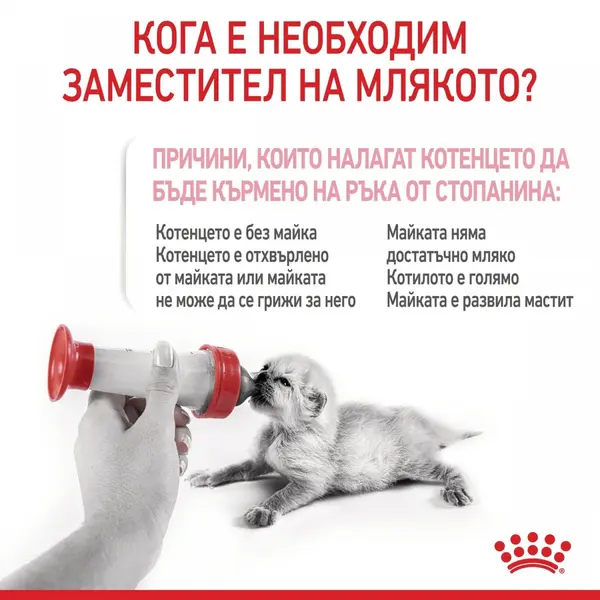 Royal Canin Baby Cat Milk - заместител на майчино мляко за котенца