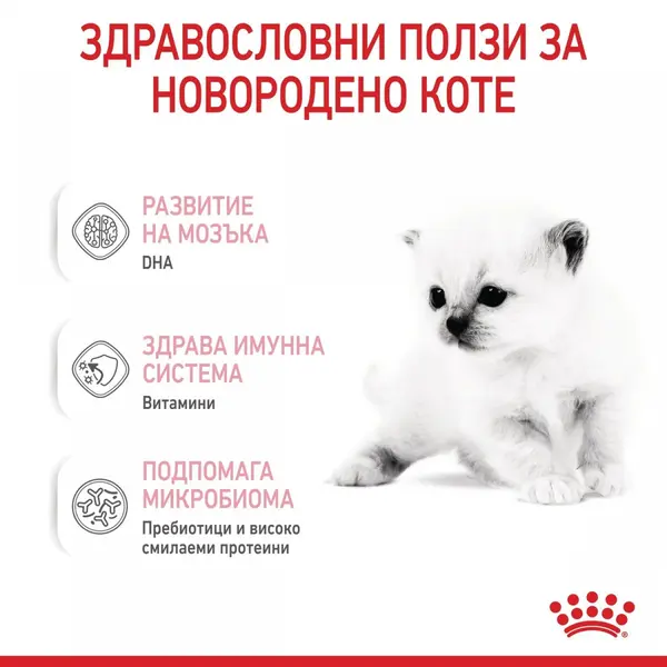 Royal Canin Baby Cat Milk - заместител на майчино мляко за котенца