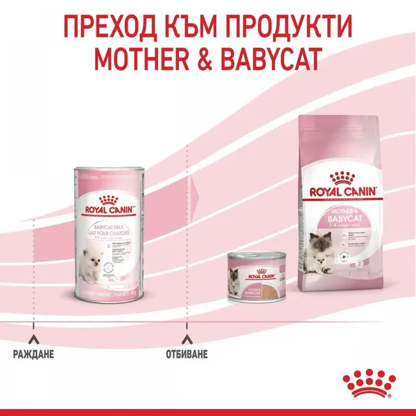 Royal Canin Baby Cat Milk - заместител на майчино мляко за котенца