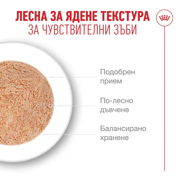 Roayl Canin Aheing 11+ Mousse - Пълноценна мокра храна за котки над 11 години - ултра мек мус - консерва 85 г