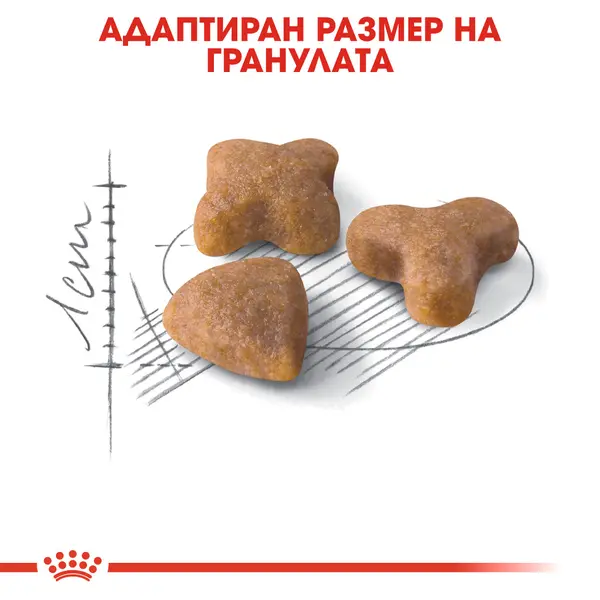 Royal Canin Sensible - суха храна за котки с чувствителен стомах