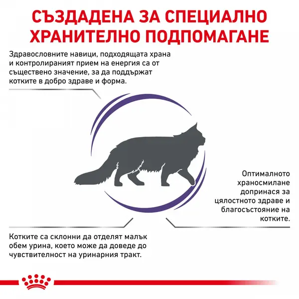 Royal Canin Adult Cat - храна за котки в зряла възраст