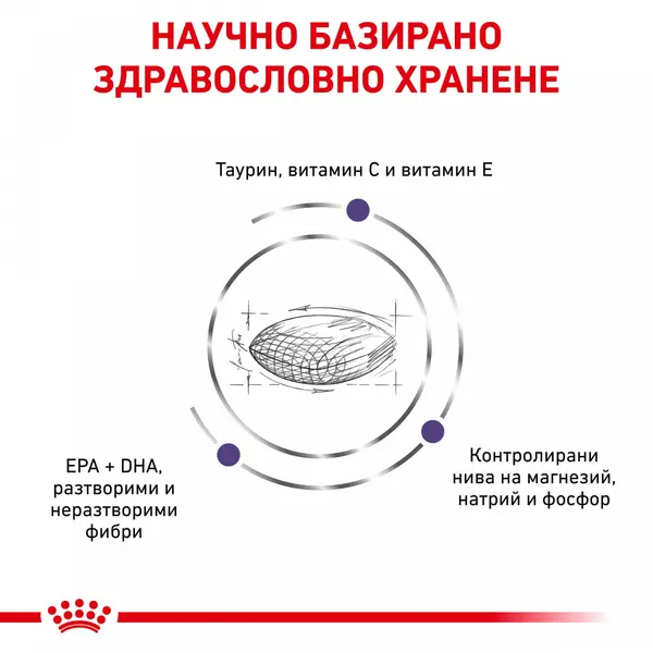 Royal Canin Adult Cat - храна за котки в зряла възраст