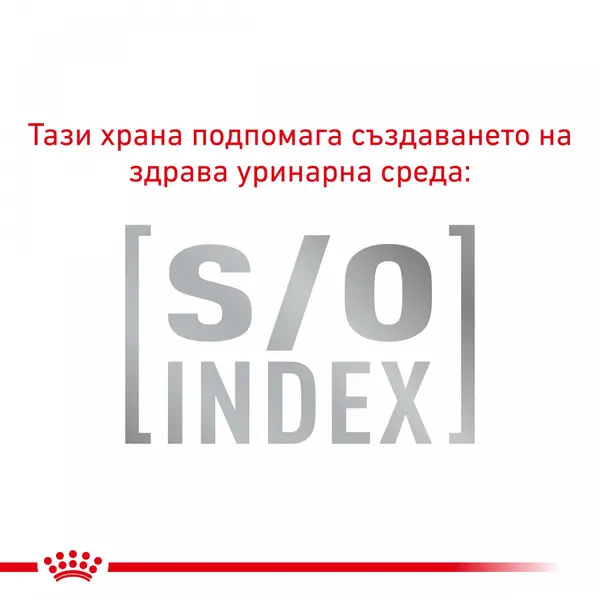 Royal Canin Adult Cat - храна за котки в зряла възраст