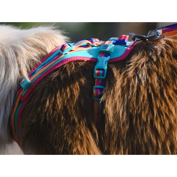FreeDog Peak Harness Montse – охлаждащ нагръдник за кучета
