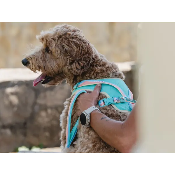 FreeDog Peak Leash Pedra – регулируем повод за кучета